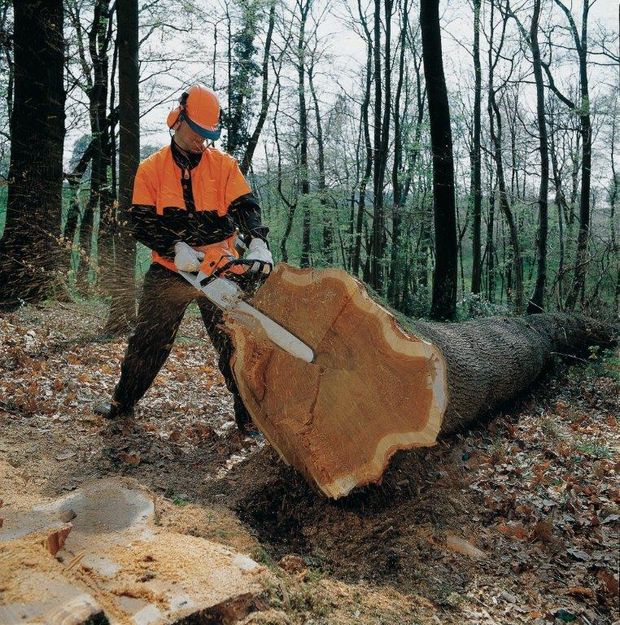 [1609832625684576_7.jpg]