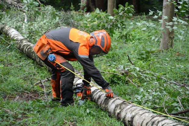 [1609832626540780_7.jpg]