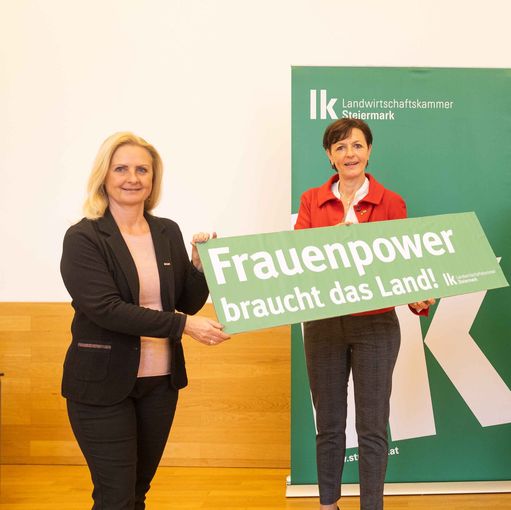 Bild 2.jpg © LK-Danner