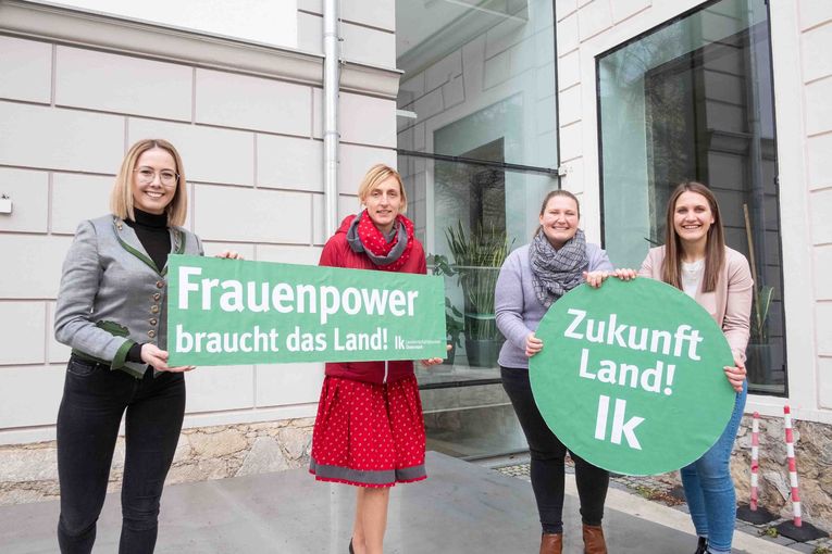 Bild 3.jpg © LK-Danner