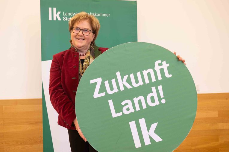 Bild 7.jpg © LK-Danner