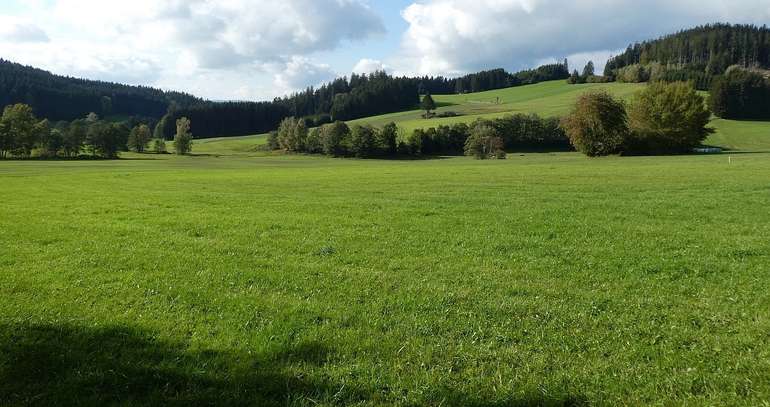 Grünlanderhaltung.jpg Grünlanderhaltung.jpg
