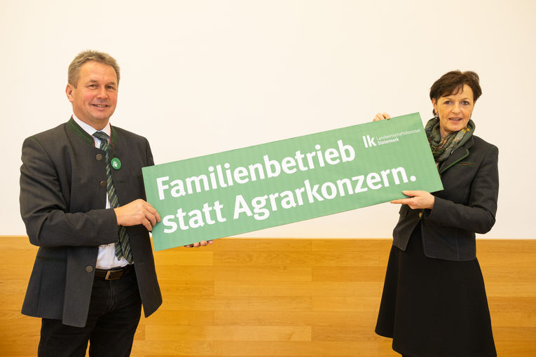 © LK-Stmk/Danner