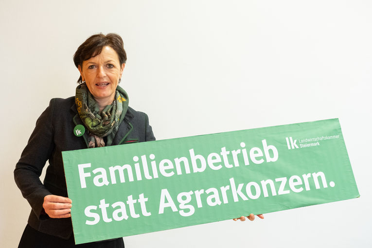 © LK-Stmk/Danner