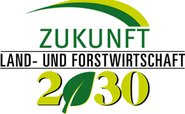 Banner Large Kärnten Zukunftsprozess 2030.png © Archiv