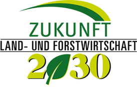 Banner Large Kärnten Zukunftsprozess 2030.png