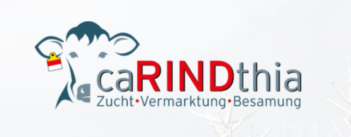 LOGO caRINDthia.png © Archiv LOGO caRINDthia.png © Archiv