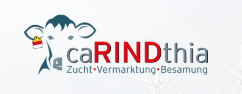 LOGO caRINDthia.png