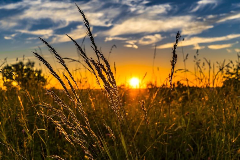 summer-2391348_1920.jpg © pixabay summer-2391348_1920.jpg © pixabay