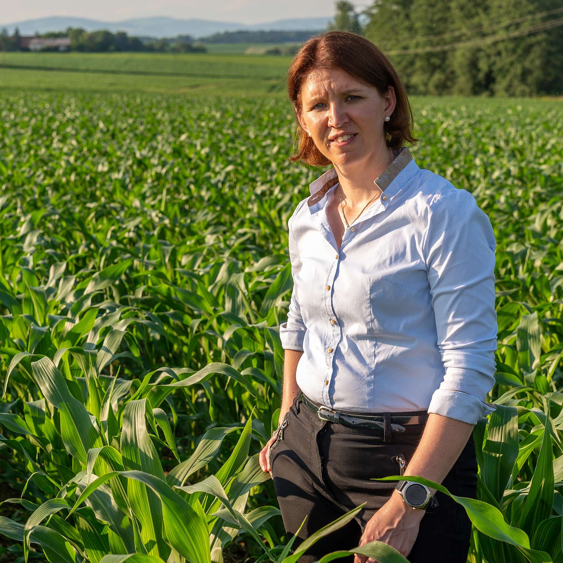 LK OOE 106.jpg © Landwirtschaftskammer Oberösterreich LK OOE 106.jpg © Landwirtschaftskammer Oberösterreich