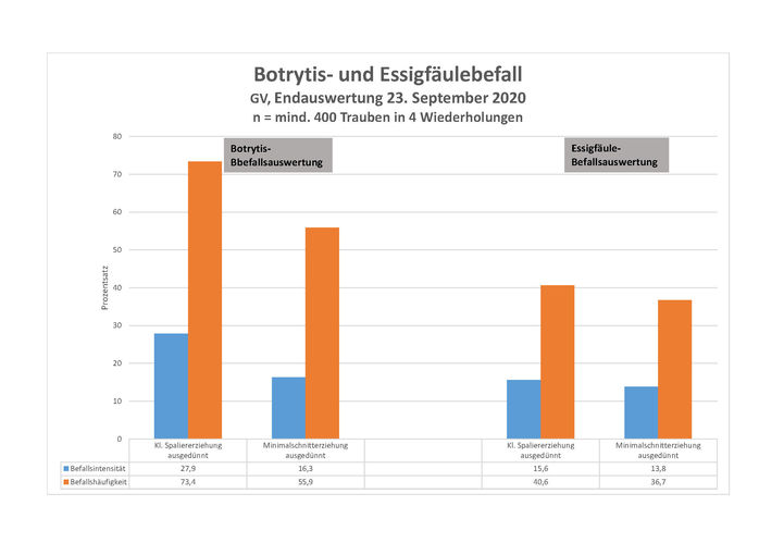 Krankheitsbefall_2020.jpg © Weinbauschule Krems