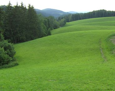 Verkürzte Umstellungszeit.jpg © LK OÖ Verkürzte Umstellungszeit.jpg © LK OÖ