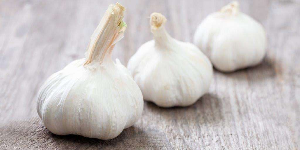 Knoblauch.jpg