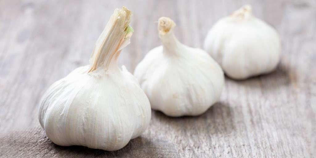 Knoblauch.jpg