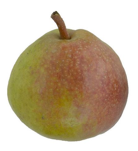 Achatzlbirne.jpg Achatzlbirne.jpg