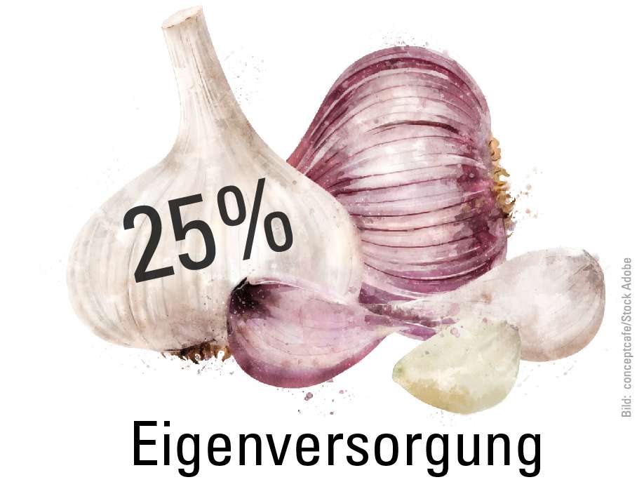 Knoblauch © conceptcafe/stock.adobe.com Knoblauch © conceptcafe/stock.adobe.com