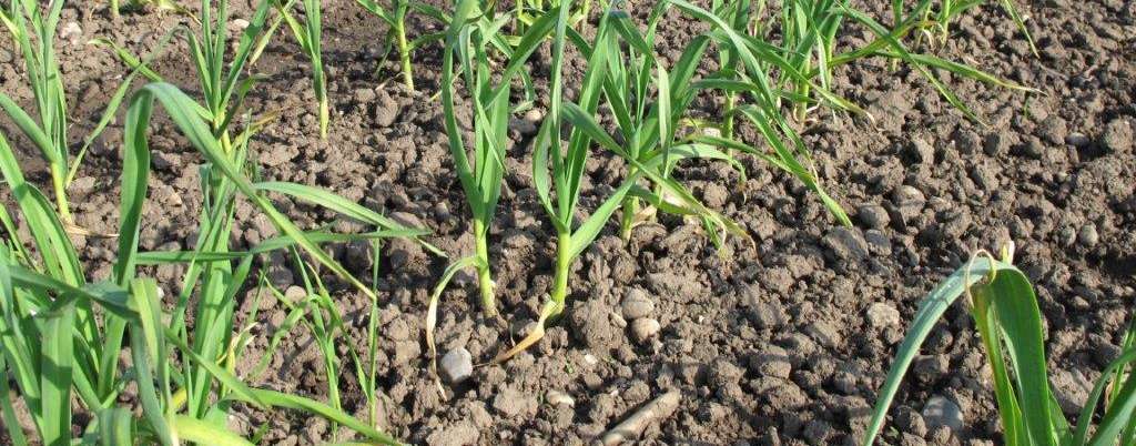 © Archiv © Archiv