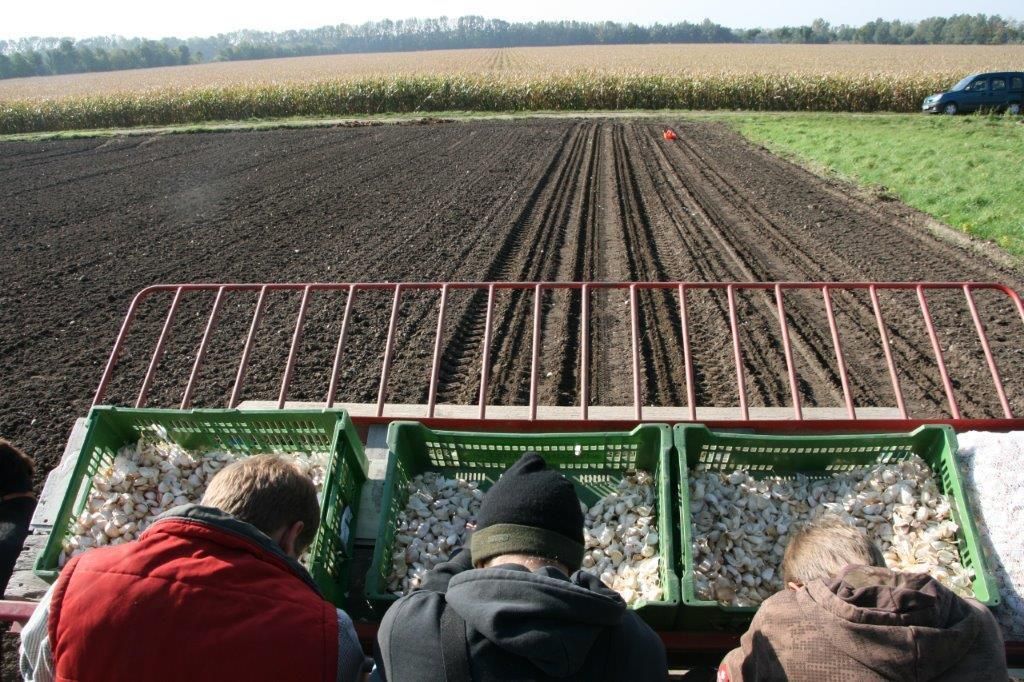 © Josef Keferböck/LK Niederösterreich © Josef Keferböck/LK Niederösterreich