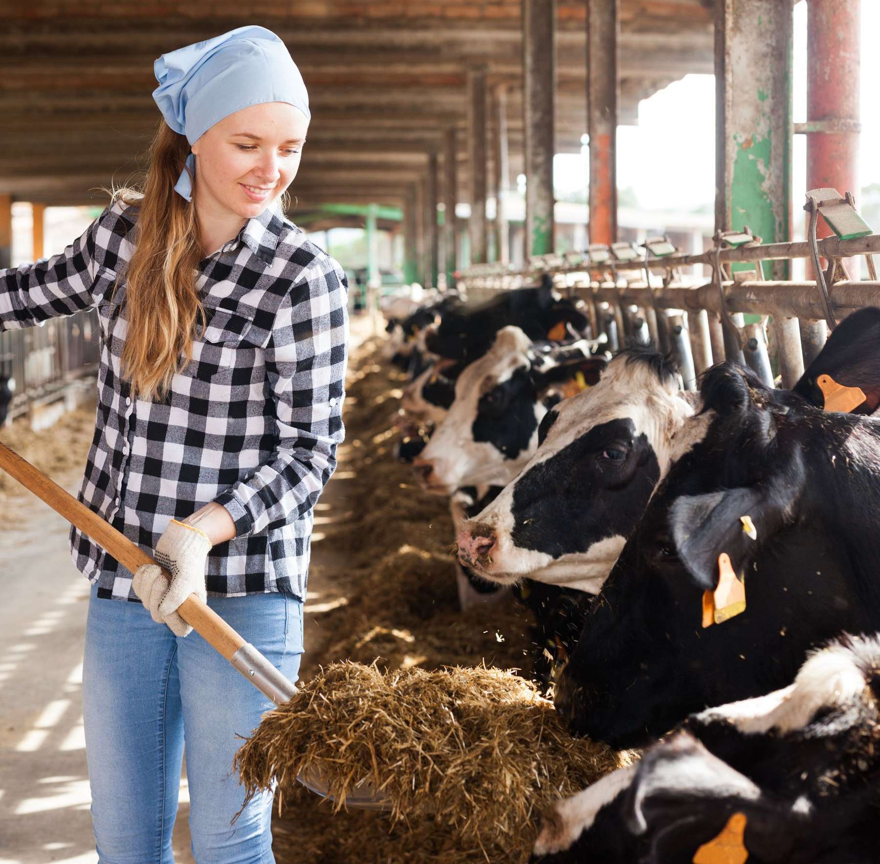 Emissionen Landwirtschaft2.jpg © stock.adobe.com Emissionen Landwirtschaft2.jpg © stock.adobe.com