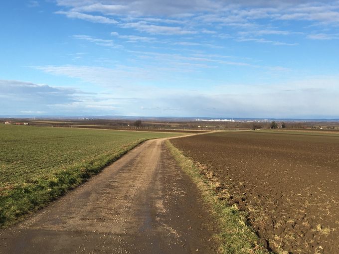 2021 Jänner im Weinviertel © Andrea Uhl LK NÖ (1).jpg © Andrea Uhl LK NÖ