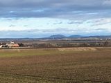 2021 Jänner im Weinviertel © Andrea Uhl LK NÖ (2).jpg