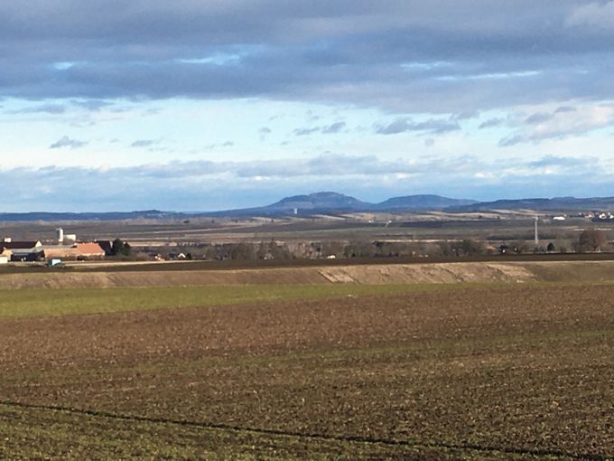 2021 Jänner im Weinviertel © Andrea Uhl LK NÖ (2).jpg © Andrea Uhl LK NÖ