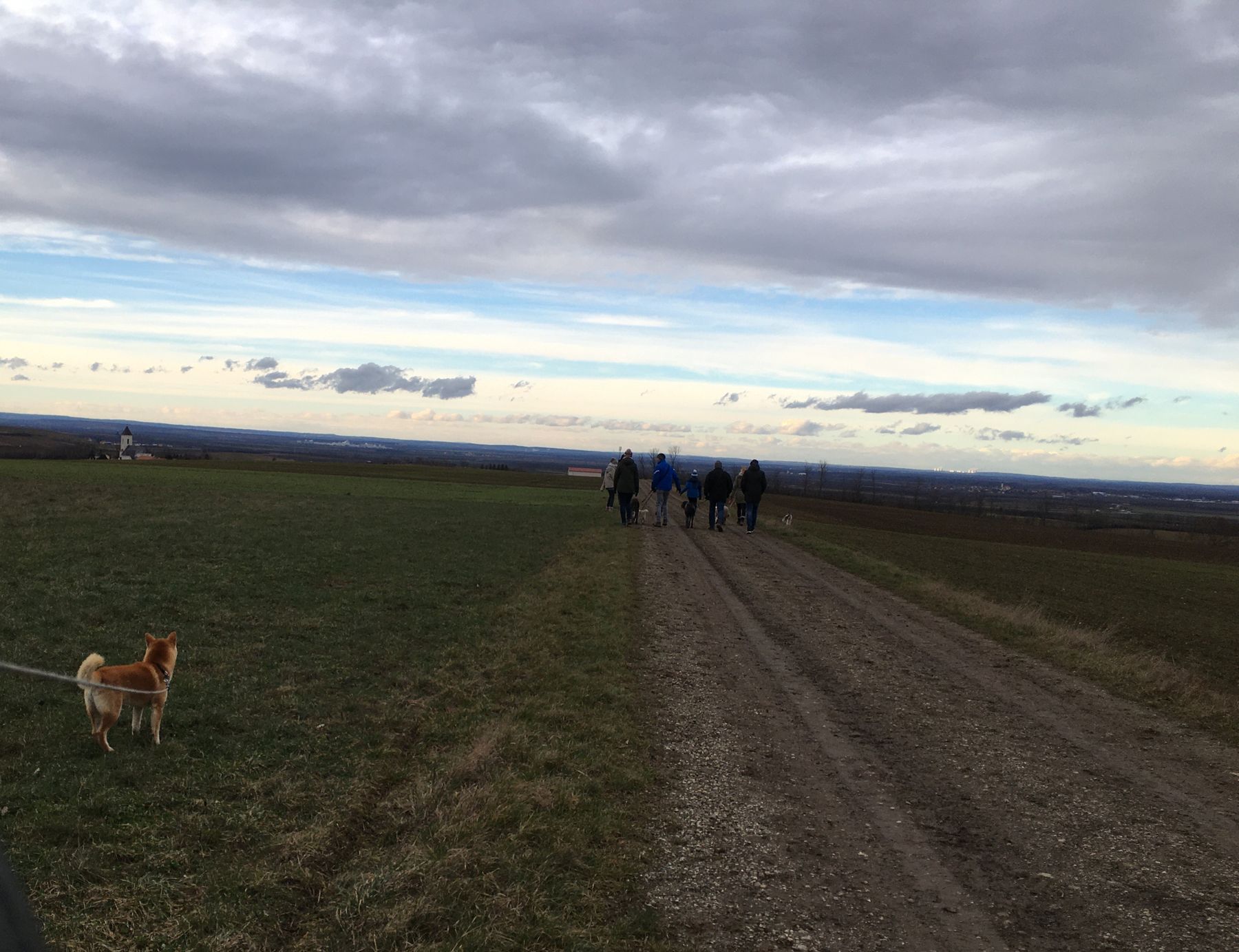 2021 Jänner im Weinviertel © Andrea Uhl LK NÖ (3).jpg © Andrea Uhl LK NÖ 2021 Jänner im Weinviertel © Andrea Uhl LK NÖ (3).jpg © Andrea Uhl LK NÖ