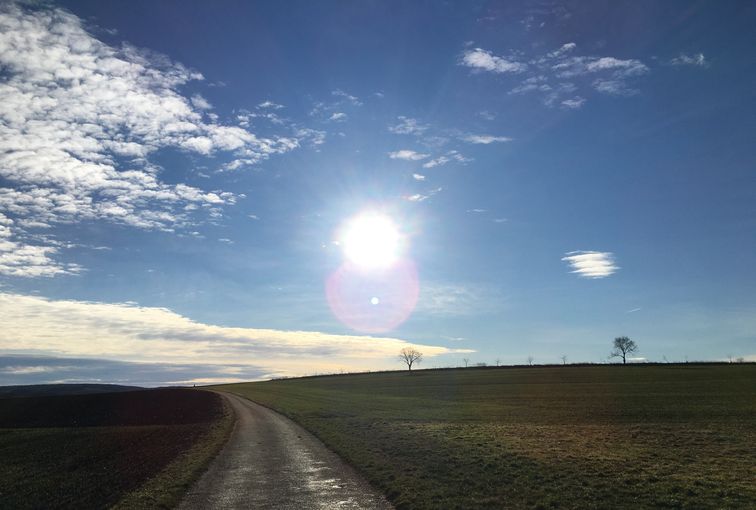 2021 Jänner im Weinviertel © Andrea Uhl LK NÖ (4).jpg © Andrea Uhl LK NÖ