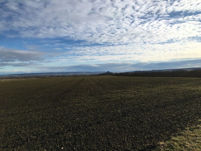 2021 Jänner im Weinviertel © Andrea Uhl LK NÖ (5).jpg © Andrea Uhl LK NÖ