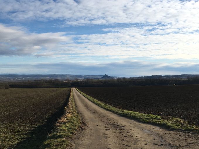 2021 Jänner im Weinviertel © Andrea Uhl LK NÖ (6).jpg © Andrea Uhl LK NÖ
