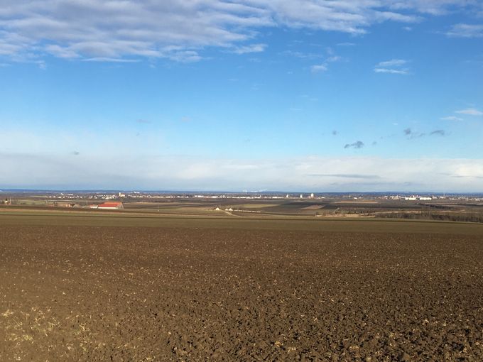 2021 Jänner im Weinviertel © Andrea Uhl LK NÖ (7).jpg © Andrea Uhl LK NÖ