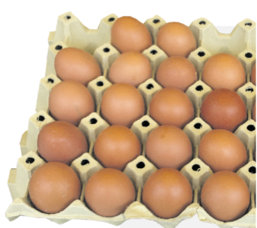Bio-Eier Putz Oberhofbauer.png © Sabine Wieder