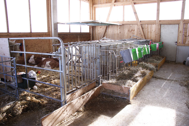 Patchwork im Lungauer Kuhstall –Weberbauer in Unternberg.jpg © Kronreif Patchwork im Lungauer Kuhstall –Weberbauer in Unternberg.jpg © Kronreif