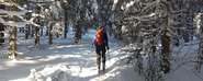 backcountry-skiiing-2004247_1920.jpg © Pixabay backcountry-skiiing-2004247_1920.jpg © Pixabay