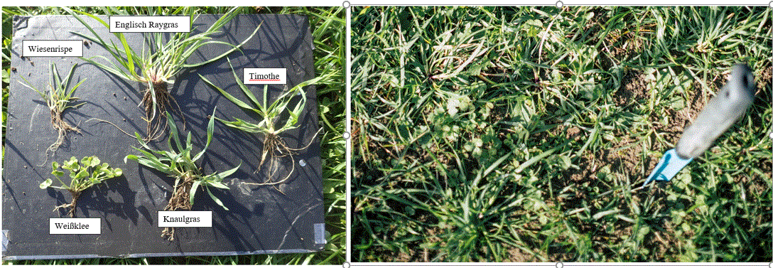 Anlage Eigenmischung .gif © W. Angeringer/LK Steiermark Anlage Eigenmischung .gif © W. Angeringer/LK Steiermark