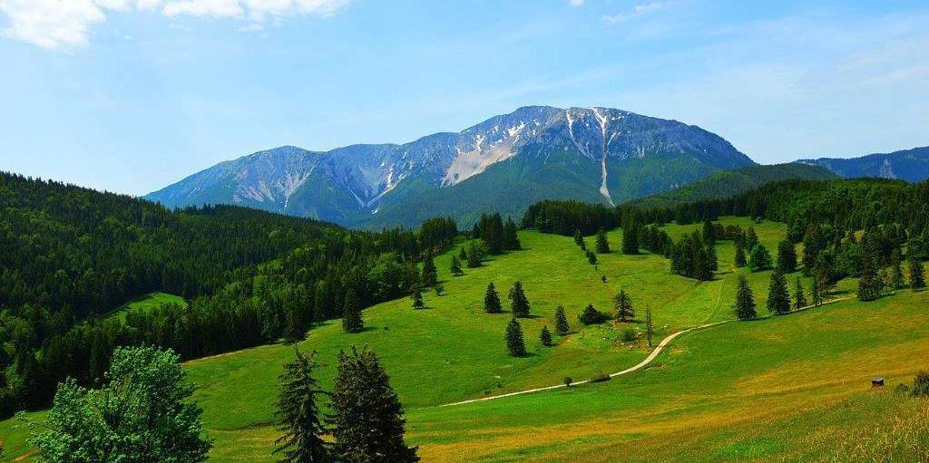 Grünland rund um den Schneeberg.jpg