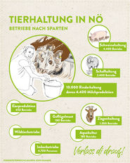 Tierwohl.jpg © Marlene Weitzenböck/LK Niederösterreich Tierwohl.jpg © Marlene Weitzenböck/LK Niederösterreich