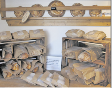 Kastners HofgreisslerEi.png © Sabine Wieder Kastners HofgreisslerEi.png © Sabine Wieder