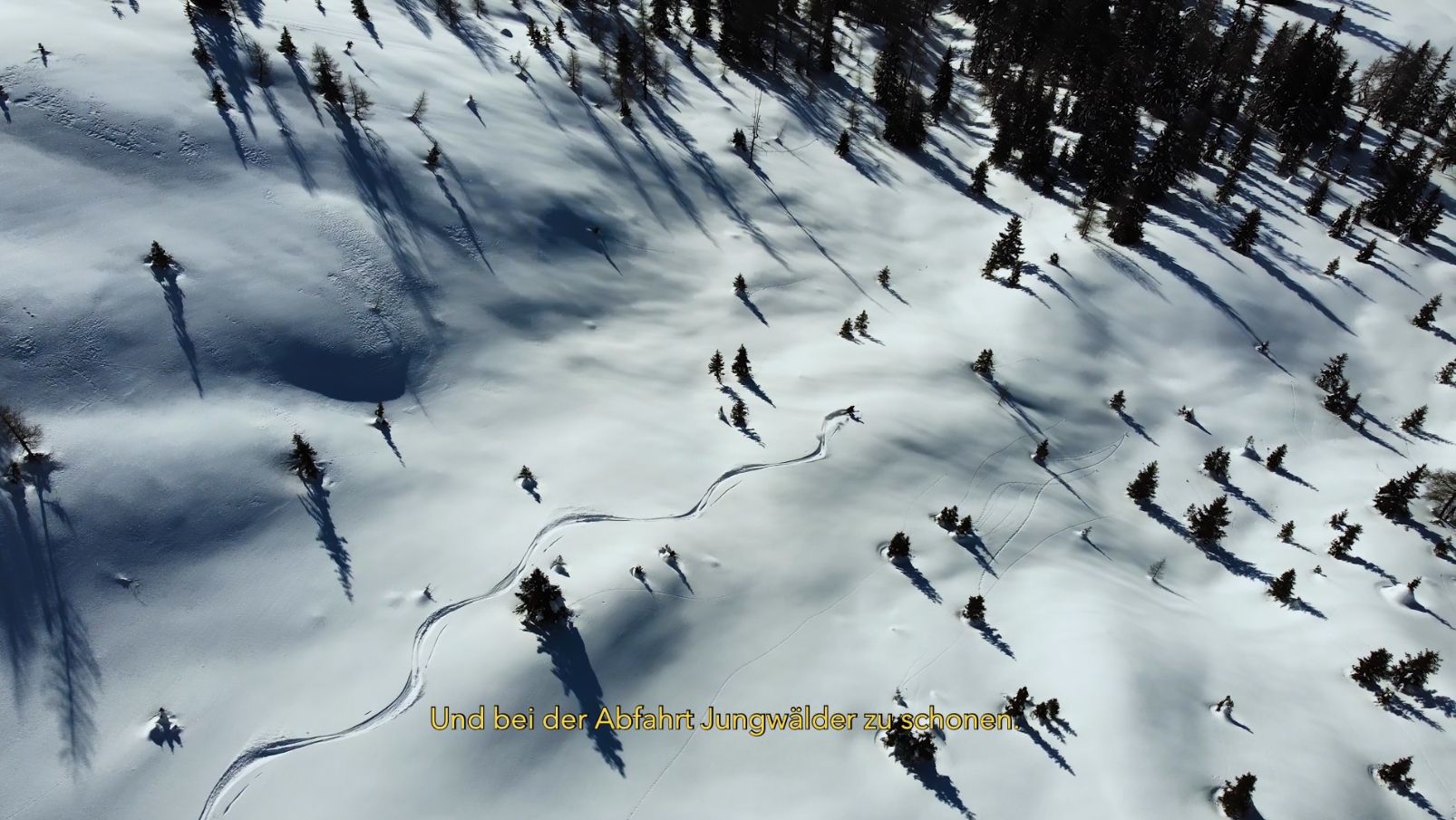 2_Wald.png © Kärntner Jägerschaft/Lukas Dürnegger 2_Wald.png © Kärntner Jägerschaft/Lukas Dürnegger