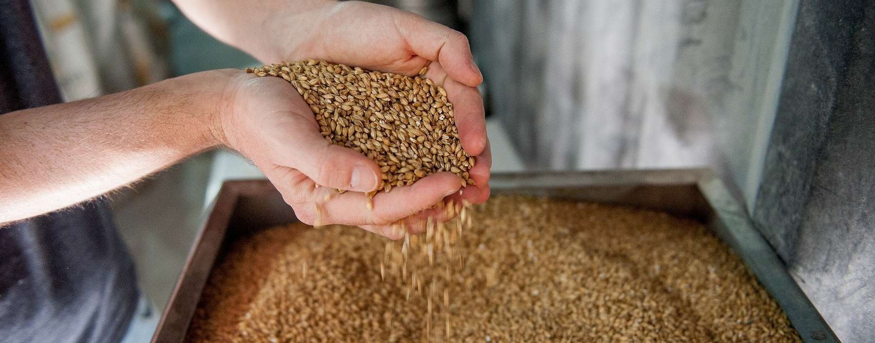 Malz.jpg © pixabay.com Malz.jpg © pixabay.com