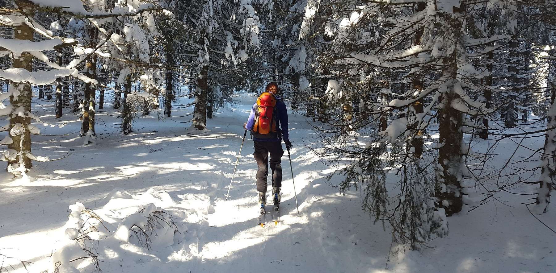 Wintersport im Wald.jpg © Simon auf Pixabay Wintersport im Wald.jpg © Simon auf Pixabay