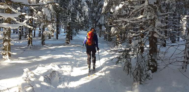 Wintersport im Wald.jpg © Simon auf Pixabay Wintersport im Wald.jpg © Simon auf Pixabay