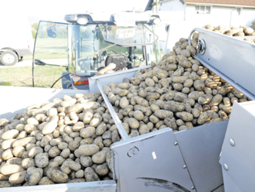 Der Kartoffeltank ist voll. Nun muss die Ernte auf den Anhänger ausgelagert werden..png