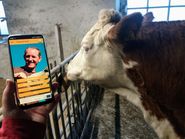 Bio Tierwohl App.jpg © LK Kärnten/Astrid Pichorner Bio Tierwohl App.jpg © LK Kärnten/Astrid Pichorner