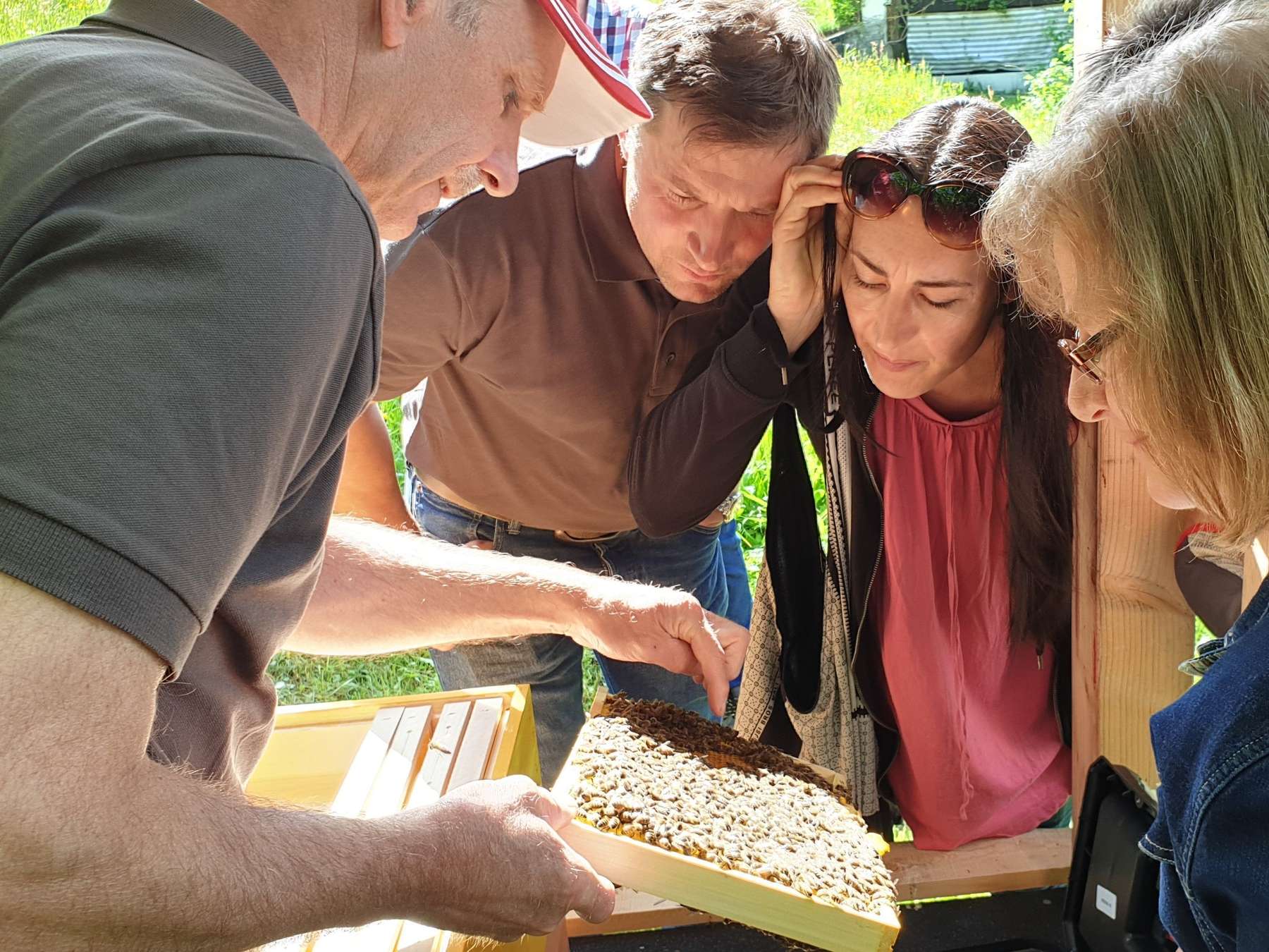 Imkerei1.jpg © LV Bienenzucht Kärnten Imkerei1.jpg © LV Bienenzucht Kärnten