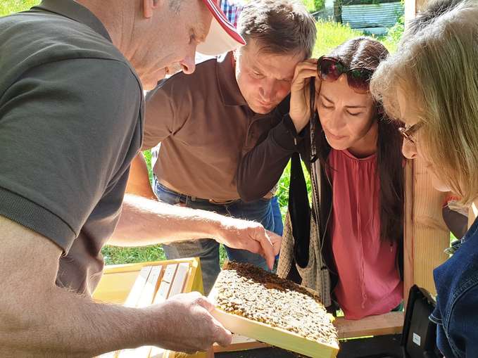 Imkerei1.jpg © LV Bienenzucht Kärnten Imkerei1.jpg © LV Bienenzucht Kärnten