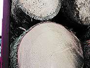 IMG_3825.jpg © LK-Stmk/Matzer