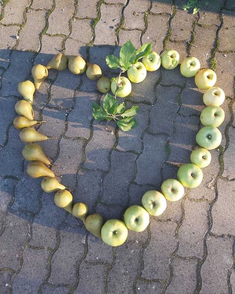 Apfel & Birnen.jpg Apfel & Birnen.jpg