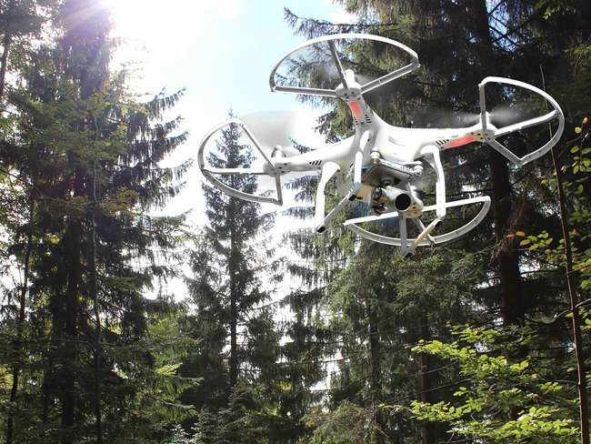 Wald mit Drohne.jpg