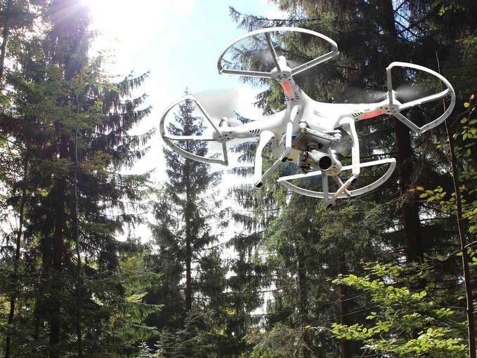 Wald mit Drohne.jpg © LK OÖ/Danninger